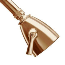 Load image into Gallery viewer, Takeashower.com Presidential Shower Head